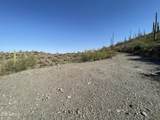 3246 Silver Tip Trail - Photo 133