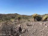 3246 Silver Tip Trail - Photo 134