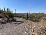 3246 Silver Tip Trail - Photo 135