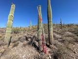 3246 Silver Tip Trail - Photo 136