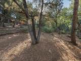 6829 Robbin Lane - Photo 31