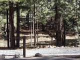 1884 Blue Sky Circle - Photo 43
