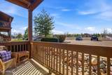 2351 Quarter Horse Trail - Photo 18
