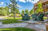 2351 Quarter Horse Trail - Photo 21