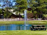 2351 Quarter Horse Trail - Photo 28