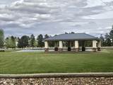 2351 Quarter Horse Trail - Photo 30