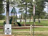 2351 Quarter Horse Trail - Photo 32