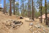 3718 Loba Drive - Photo 39