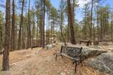 3718 Loba Drive - Photo 42