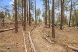 3718 Loba Drive - Photo 43