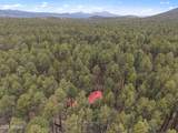 3718 Loba Drive - Photo 47