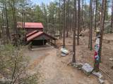 3718 Loba Drive - Photo 52