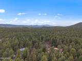3718 Loba Drive - Photo 55