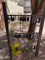 420 1st Street - Photo 34