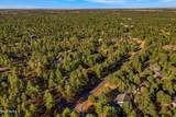 2202 Forest Park Drive - Photo 46