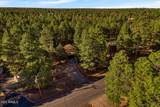 2202 Forest Park Drive - Photo 47