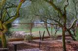 6767 Amber Sun Drive - Photo 44