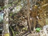 105 Tombstone Canyon - Photo 25