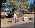 2644 Lodge Loop - Photo 27