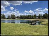 2644 Lodge Loop - Photo 28