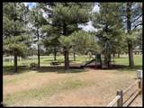 2644 Lodge Loop - Photo 29