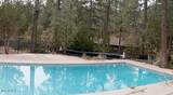 1106 Timber Ridge Road - Photo 52