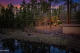 571 Pine Shadow Drive - Photo 1