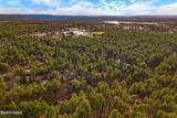 571 Pine Shadow Drive - Photo 49