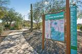 7135 Desert Mirage Drive - Photo 29