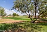 16731 Oracle Rim Drive - Photo 42