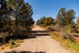 100 Pinon Valley Drive - Photo 21
