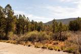 100 Pinon Valley Drive - Photo 36