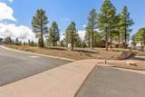 3401 Brown Sage Court - Photo 17