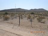 339XX Carver Road - Photo 1