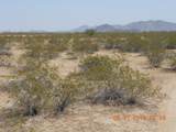339XX Carver Road - Photo 11
