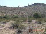 339XX Carver Road - Photo 13