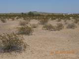339XX Carver Road - Photo 6