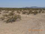 339XX Carver Road - Photo 7