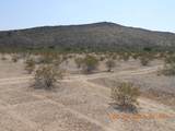 339XX Carver Road - Photo 8
