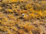 0 Silver Dog Way 2 Acres - Photo 4