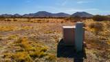 0 Silver Dog Way 2 Acres - Photo 5