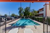 4211 Palm Lane - Photo 28