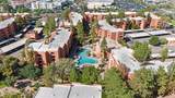 4303 Cactus Road - Photo 46