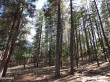 1734 Willow Mountain Road - Photo 36