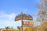 13739 White Face Canyon Drive - Photo 4