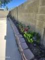 8339 Windrose Drive - Photo 23