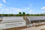 4644 Ferric - Photo 13