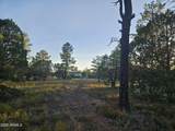 4843 Bison Trail - Photo 11