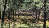 1878 Sheep Springs Road - Photo 13