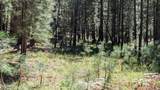 1878 Sheep Springs Road - Photo 14